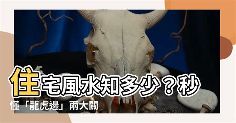 風水 龍虎邊|【住宅龍虎邊】住宅風水知多少？秒懂「龍虎邊」兩大。